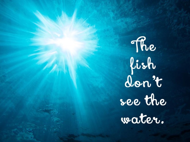 Tubbataha's Coral Reefs: Underwater Paradise for Tropical Fish